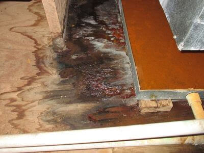 About water damage restoration service - commercial flood cleanup experts in Pittsburgh